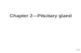 Chapter 2—Pituitary gland