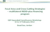 Focal Area and Cross Cutting Strategies – multilateral REDD-plus financing program