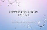 Common concerns in  english