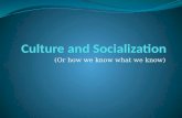 Culture and Socialization