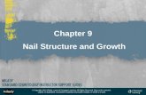 Chapter 9 Nail Structure and Growth