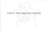 Unit 4: The Digestive System