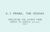 6.1 PRANA, THE KOSHAS