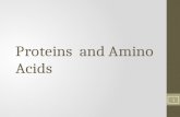 Proteins  and Amino Acids
