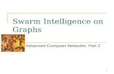 Swarm Intelligence on Graphs