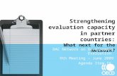Strengthening evaluation capacity in partner countries: What next for the Network?