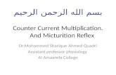 Counter Current Multiplication.  And Micturition Reflex