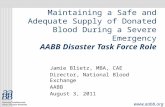 Jamie Blietz, MBA, CAE Director, National Blood Exchange AABB August 3, 2011