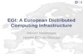 EGI: A European Distributed Computing Infrastructure