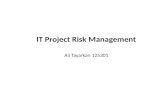 IT P roject Risk Management Ali Taşarkan 125301