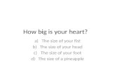 How  big is your heart ?