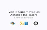 Type  Ia  Supernovae as Distance Indicators