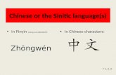 Chinese or the  Sinitic  language(s)