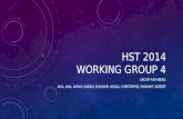 HST 2014 WORKING GROUP 4
