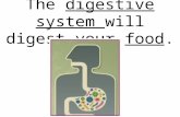 The  digestive system  will digest your  food .