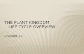 The Plant Kingdom  Life cycle overview