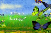 Ecology introduction Me 23 slides What is Ecology?