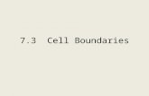 7.3  Cell Boundaries