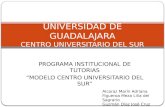 UNIVERSIDAD DE GUADALAJARA CENTRO UNIVERSITARIO DEL SUR