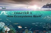 CHAPTER 3   How Ecosystems Work