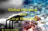 Global Warming  and  Coral Bleaching
