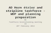 AD Horn étrier and stripline taskforce - WDP and planning preparation