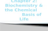 Chapter 2: Biochemistry & the Chemical               Basis of Life