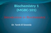 Biochemistry 1 (MGBC-101)