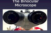 The Binocular Microscope