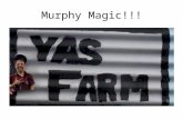 Murphy Magic!!!