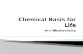 Chemical Basis for Life