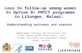Option  B +  PMTCT strategy in Malawi