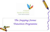 The Stepping Stones Transition Programme