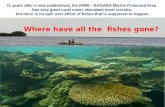 11 years after it was established, the KMM – KAGANA Marine Protected Area