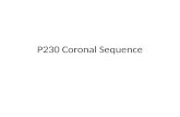 P230 Coronal Sequence