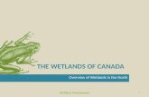 THE WETLANDS OF CANADA