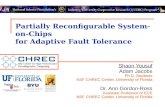 Partially Reconfigurable System-on-Chips  for Adaptive Fault Tolerance