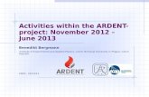 Activities within the ARDENT-project: November 2012 – June 2013