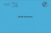 Duck  Harness