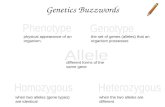 Genetics Buzzwords