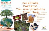 Celebrate Forests! You use products from them everyday.