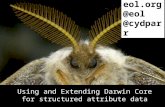Using and Extending Darwin Core for structured attribute data