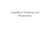 Cognition Thinking and Reasoning