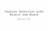 Feature Selection with Branch and Bound