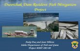 Dworshak  Dam Resident Fish Mitigation Project