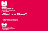 What is a Flora? Peter Hovenkamp
