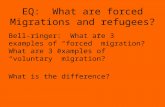 EQ:  What  are forced  Migrations and refugees?