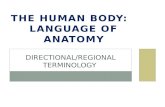 Directional/Regional Terminology