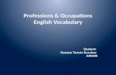 Professions & Occupations English Vocabulary