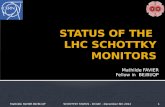 STATUS OF THE  LHC SCHOTTKY MONITORS